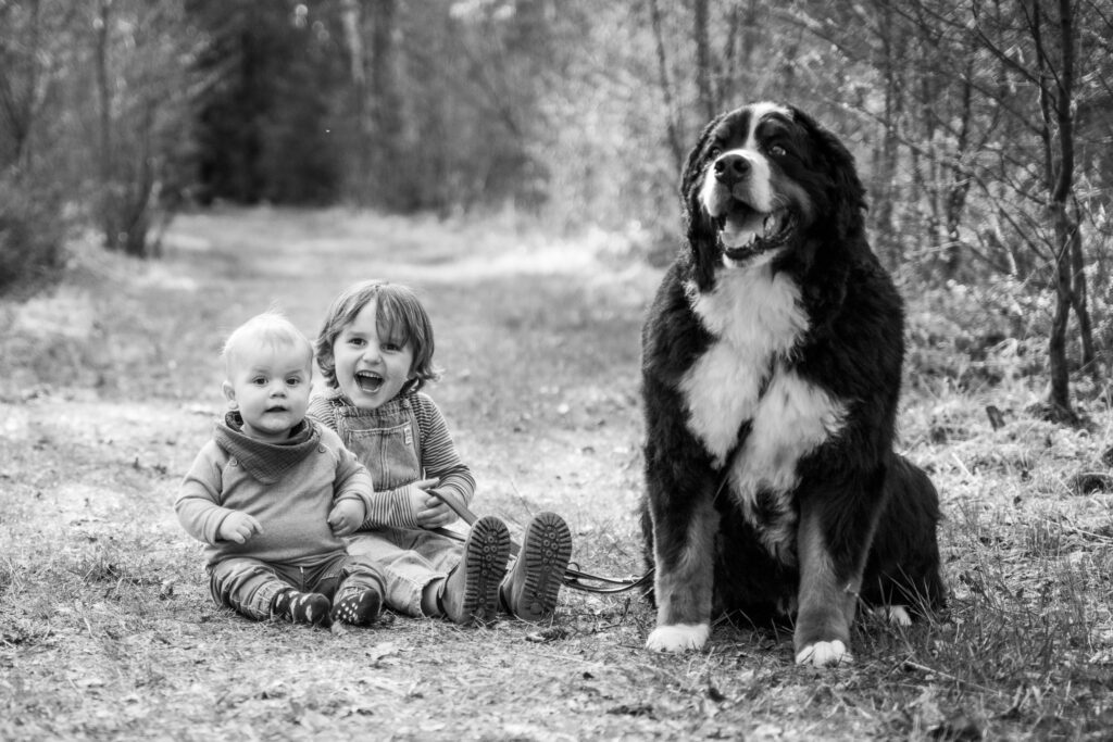 Zwei Kinder mit einem Bernersennenhund